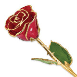 Authenic Red Rose Trimmed in 24k Gold