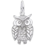 Sterling Silver Wise Owl Charm